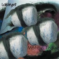 Labirynt | Motion Tissue